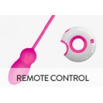 Remote Control Toys